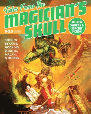 bokomslag Tales From The Magician's Skull #5