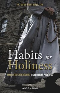 bokomslag Habits for Holiness