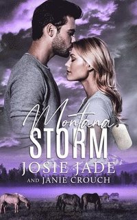 bokomslag Montana Storm