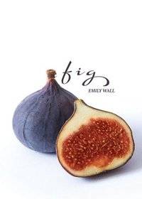 bokomslag Fig