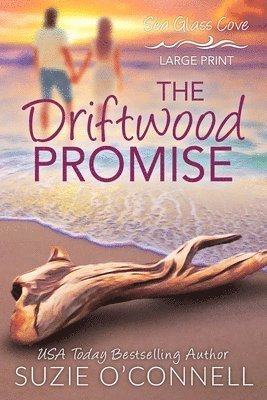 bokomslag The Driftwood Promise