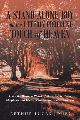 bokomslag Stand-Alone Boy and the Utterly Profound Touch of Heaven