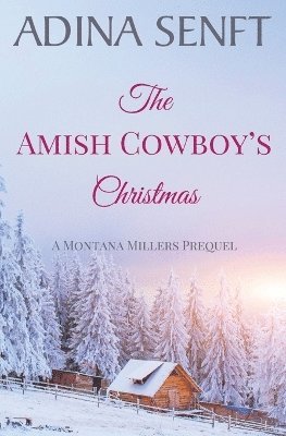 bokomslag Amish Cowboy's Christmas