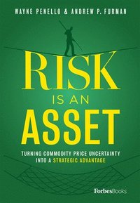 bokomslag Risk Is An Asset