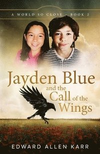 bokomslag Jayden Blue and The Call of the Wings
