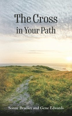 bokomslag Cross in Your Path
