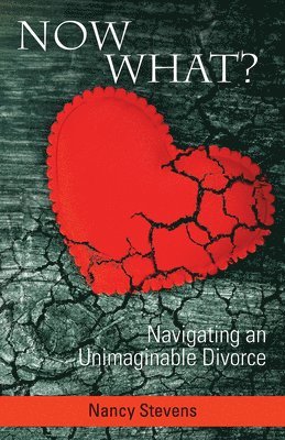 Nancy Stevens - Now What?, Häftad