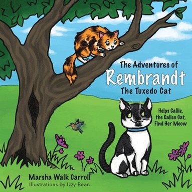 bokomslag The Adventures of Rembrandt the Tuxedo Cat