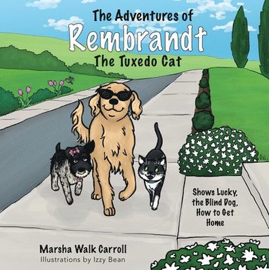 bokomslag The Adventures of Rembrandt the Tuxedo Cat