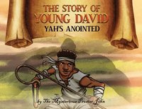 bokomslag The Story of Young David
