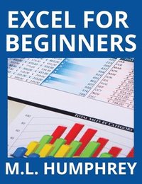 bokomslag Excel for Beginners