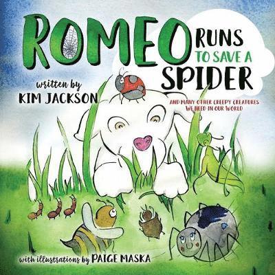 Romeo Runs to Save a Spider