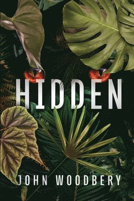 Hidden 1