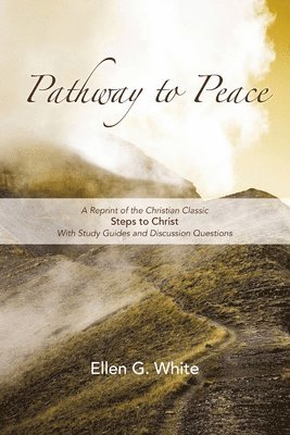 bokomslag Pathway to Peace