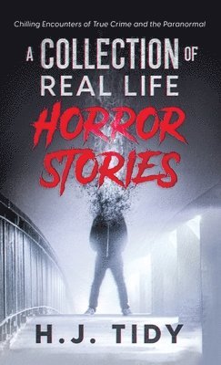 bokomslag Horror Stories