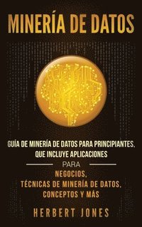 bokomslag Minería de Datos