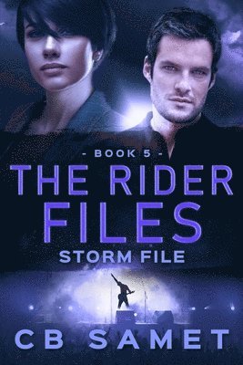 bokomslag Storm File (the Rider Files Book 5)