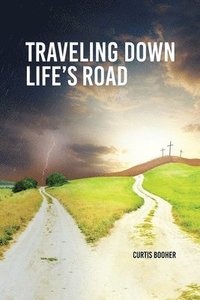 bokomslag Travelling Down Life's Road