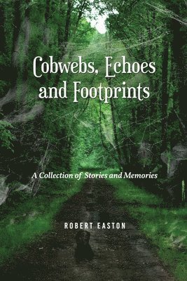 bokomslag Cobwebs, Echoes and Footprints