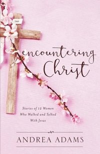 bokomslag Encountering Christ