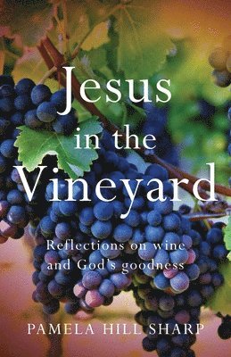 Jesus In The Vineyard 1