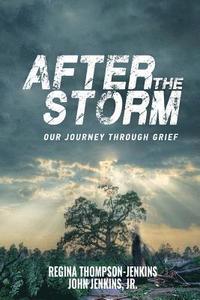 bokomslag After The Storm: Our Journey through Grief