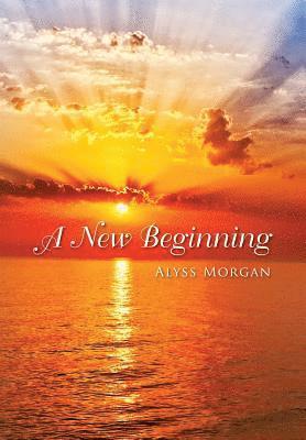 bokomslag New Beginning