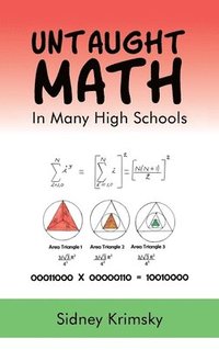 bokomslag Untaught Math