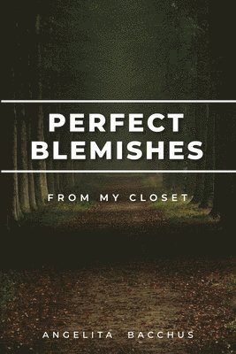 bokomslag Perfect Blemishes From My Closet