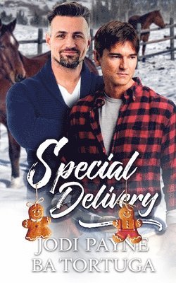 bokomslag Special Delivery