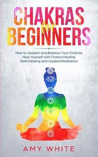 bokomslag Chakras For Beginners