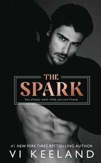 bokomslag Spark