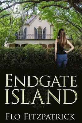 bokomslag Endgate Island