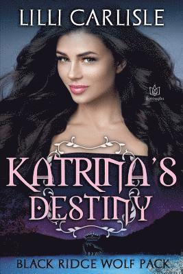 bokomslag Katrina's Destiny