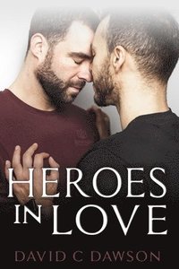 bokomslag Heroes in Love