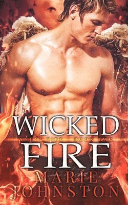 bokomslag Wicked Fire