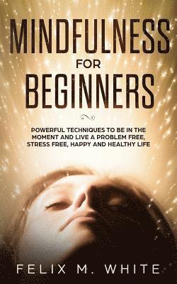 Mindfulness for Beginners 1