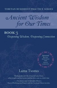 bokomslag Deepening Wisdom, Deepening Connection