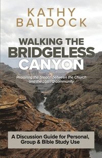 bokomslag Walking the Bridgeless Canyon