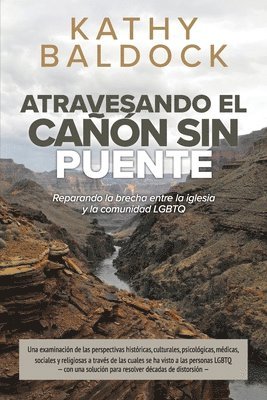 bokomslag Atravesando el canon sin puente