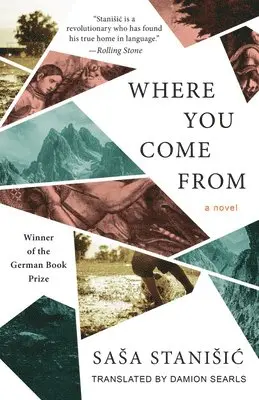 Sasa Stanisic - Where You Come from, Häftad
