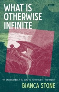 bokomslag What Is Otherwise Infinite: Poems