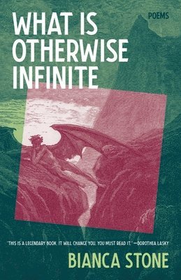 What Is Otherwise Infinite: Poems 1