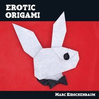 bokomslag Erotic Origami