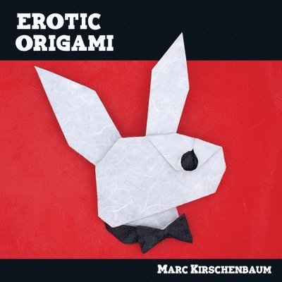 Erotic Origami 1