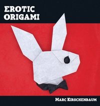 bokomslag Erotic Origami