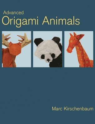 bokomslag Advanced Origami Animals