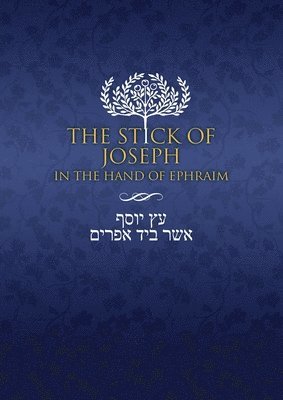 bokomslag The Stick of Joseph in the Hand of Ephraim