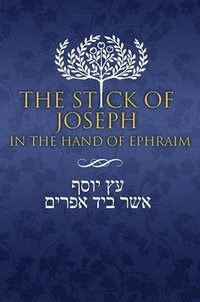 bokomslag The Stick of Joseph in the Hand of Ephraim