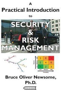 bokomslag A Practical Introduction to Security and Risk Management